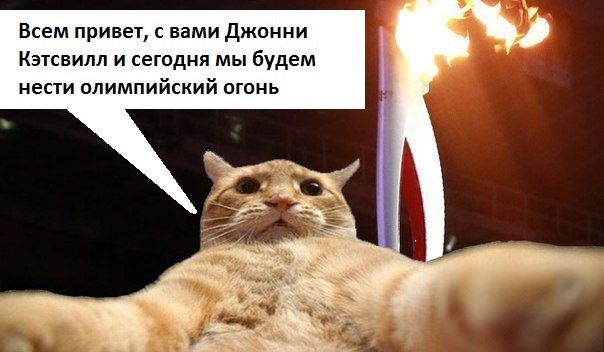 Мемы Джонни Кэтсвилл кот