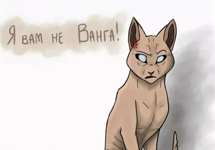Мемы про котов воителей