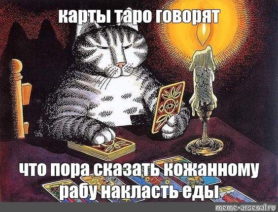Кот с картами Таро