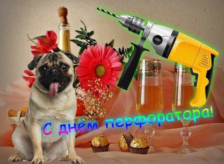 С днем дрели