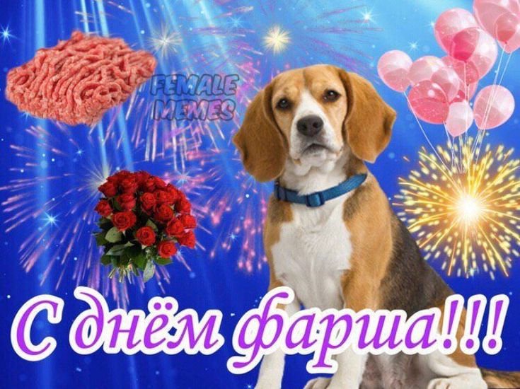 Открытка с собакой Мем