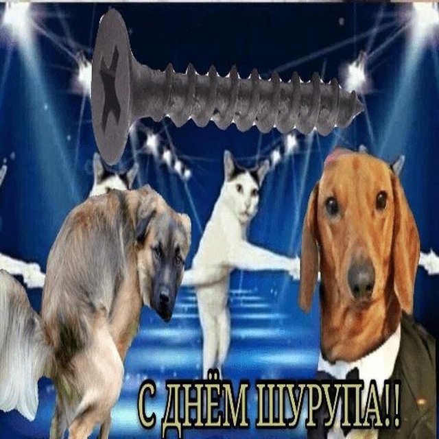 С днем плиты