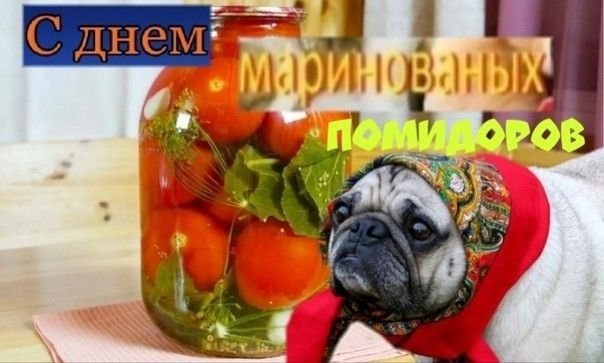 С днем тупые праздники