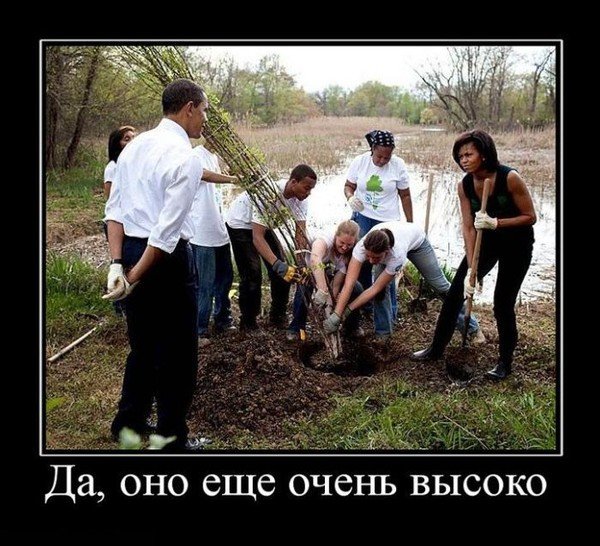 Солнце светит негры пашут