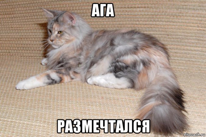 Размечтался одноглазый