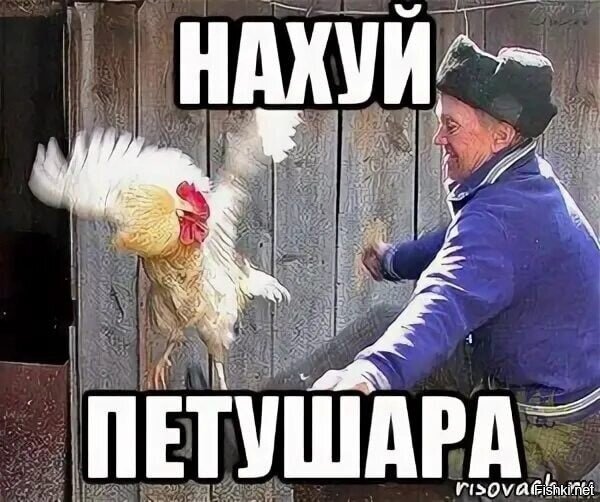 Мемы с петухами