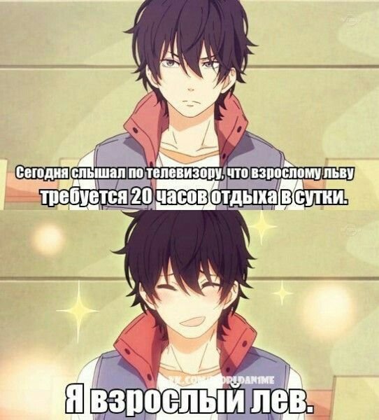 Аниме приколы