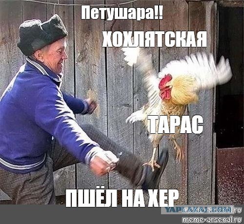 Пнул петуха