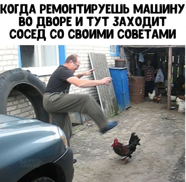 Пинает курицу