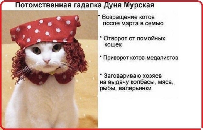 Потомственная гадалка Дуня