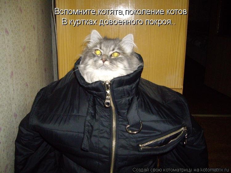 Курточки для котиков