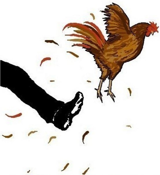 Пинок петуху