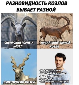 Мужчины козлы