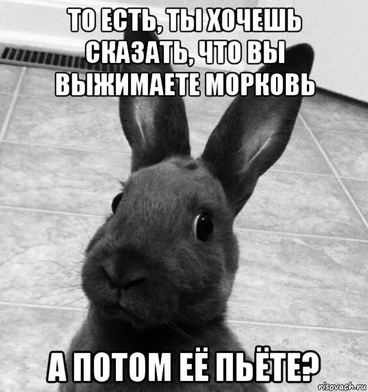 Зайчик мемы