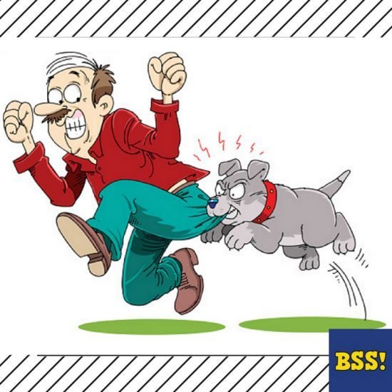 Собачка карикатура