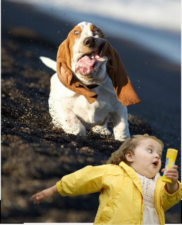 Девочка убегает от собаки