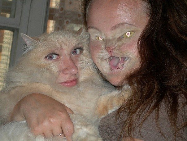 Коты с упоротыми лицами