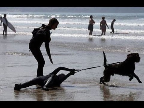 Человек на поводке