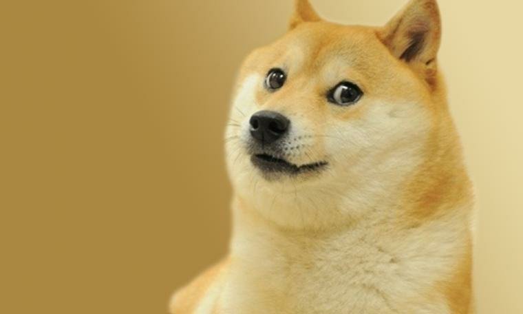 Сиба ину Doge meme