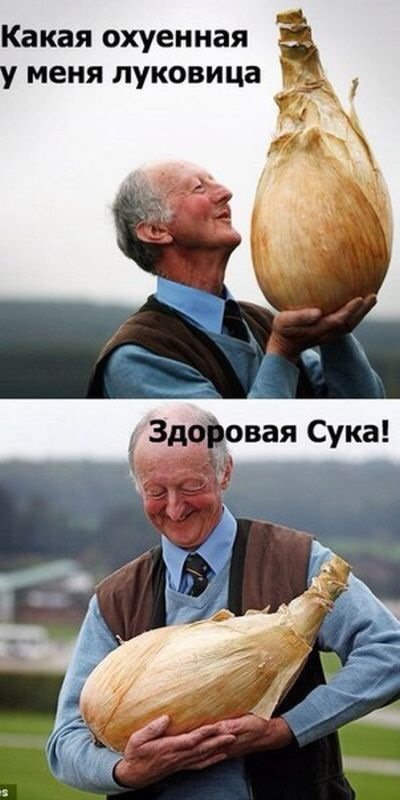 Здоровенная луковица
