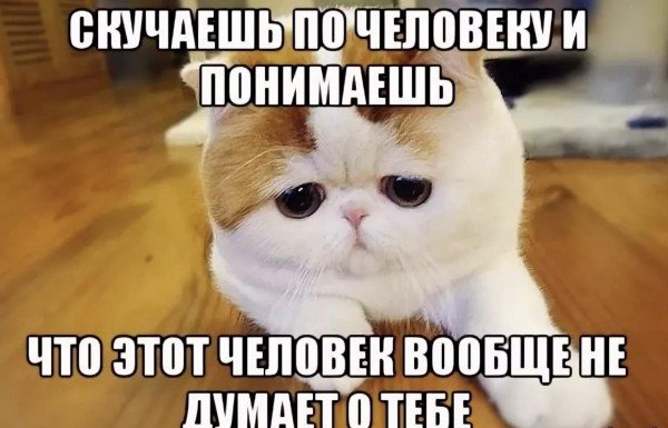 Скучать по человеку