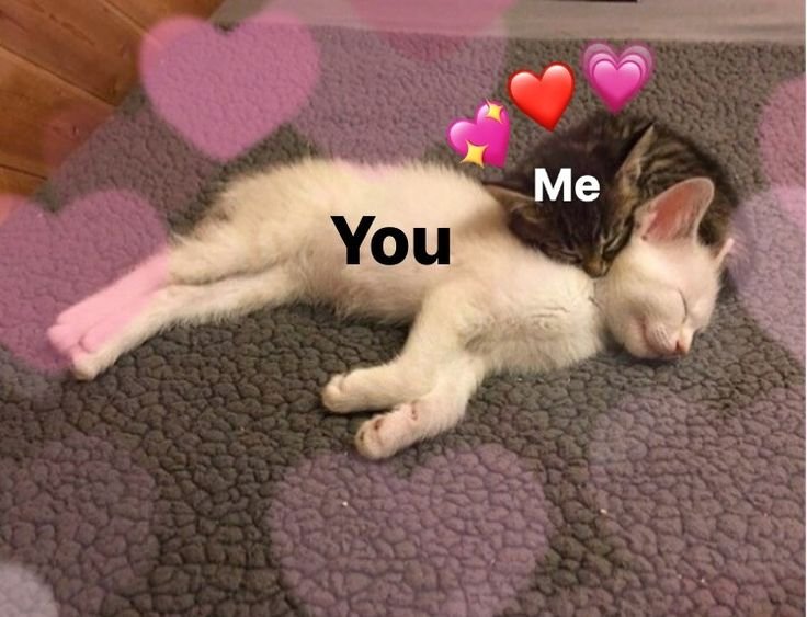 Животные с сердечками