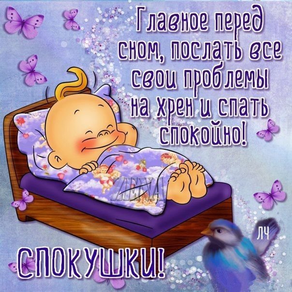 Смешные пожелания спокойной ночи