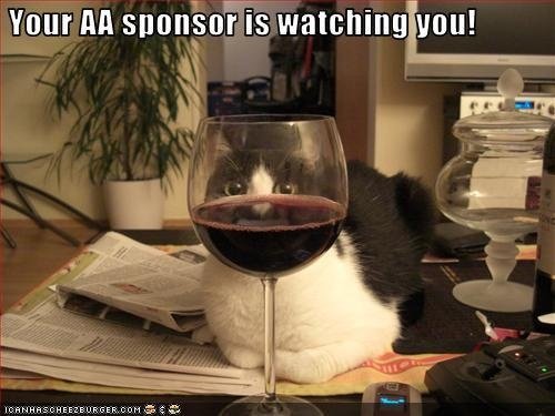 Кот с вином