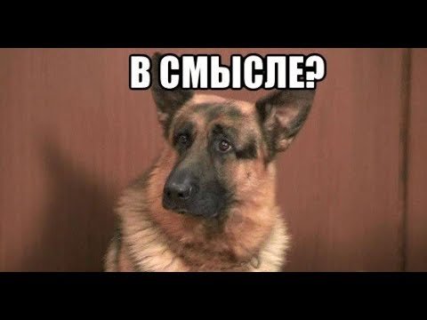 А че всмысле Мем