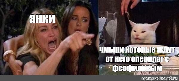 Мем с котом и двумя женщинами