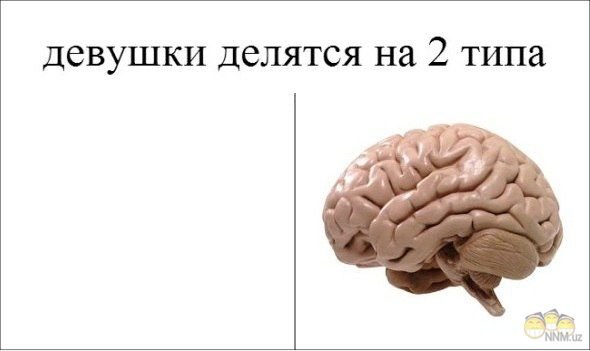 Веселые шутки про мозг