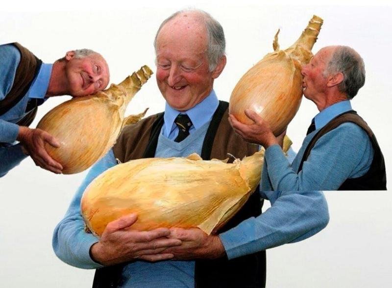 Здоровенная луковица