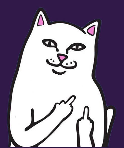 Кот с факом