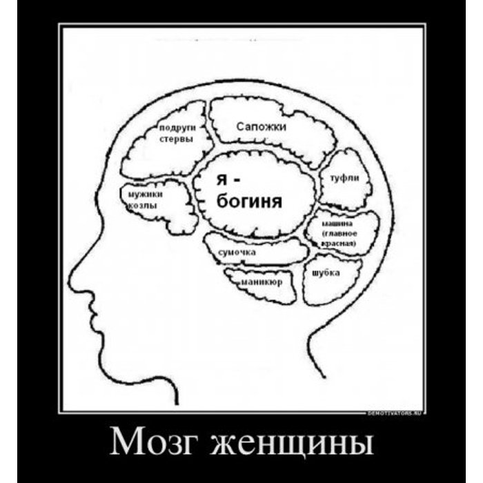 Мужской мозг