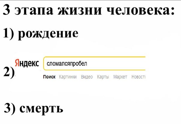 3 Стадии жизни человека