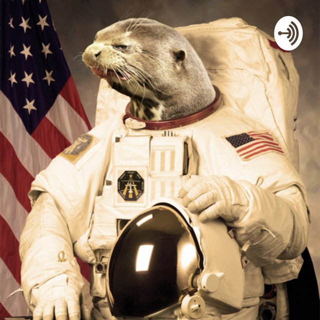 Кот в скафандре