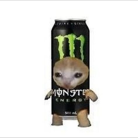 Энергетик с котом