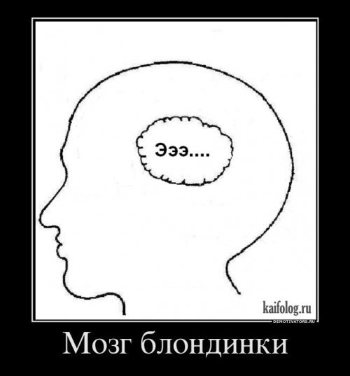 Шутка про мозг женский