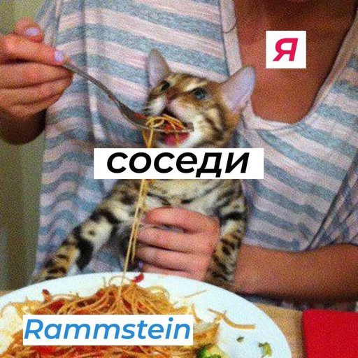 Кот жрёт макароны