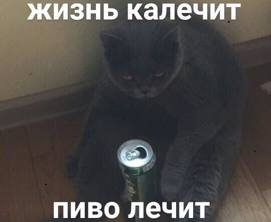 Жизнь калечит пиво лечит