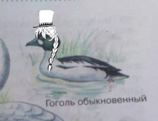 Гоголь БСД мемы