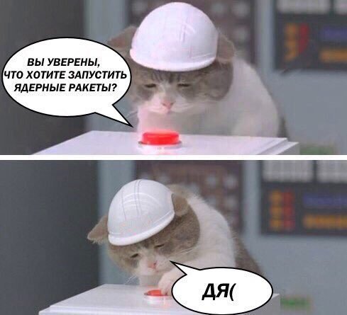 Кот жмет на кнопку