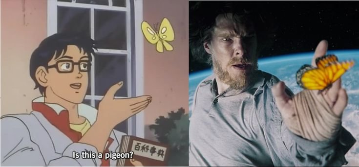 Is this a Pigeon оригинал