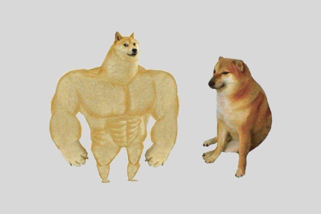 С собакой сиба ину качок