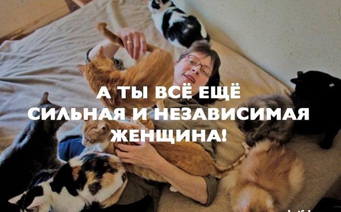 Кот сильной и независимой женщины