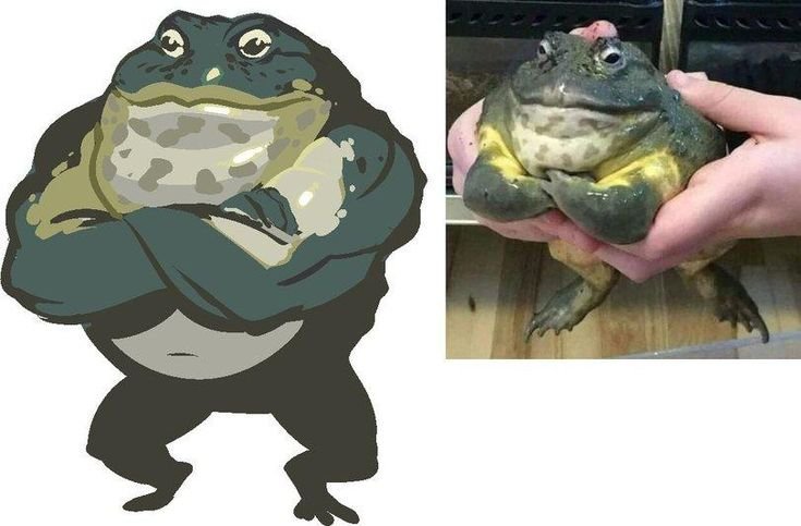 Лягушка качок