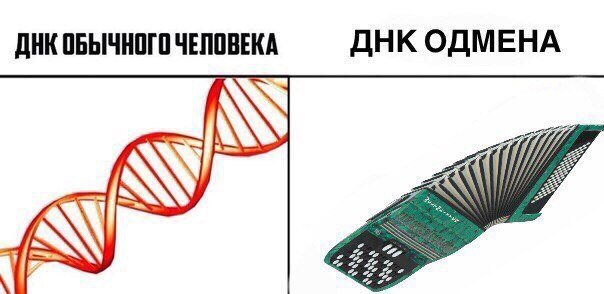 Мемы из ДНК