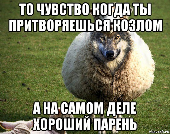 Вокруг козлы