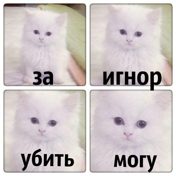 Спасибо за игнор