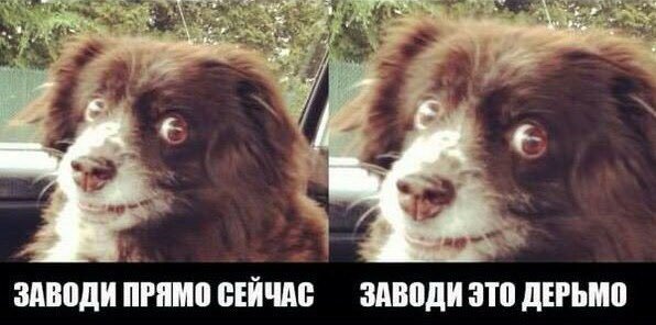 Давай заводи это дерьмо Мем
